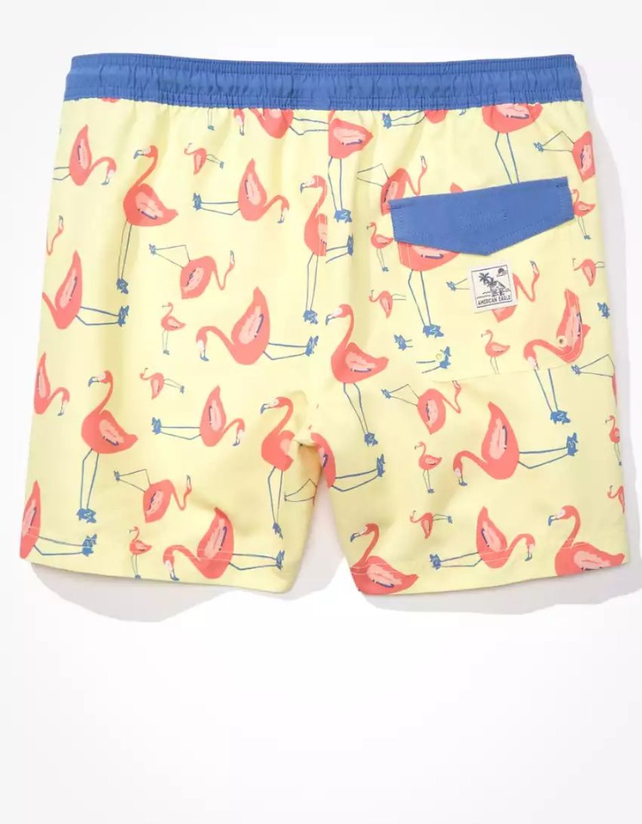 Shorts American Eagle AE 5.5